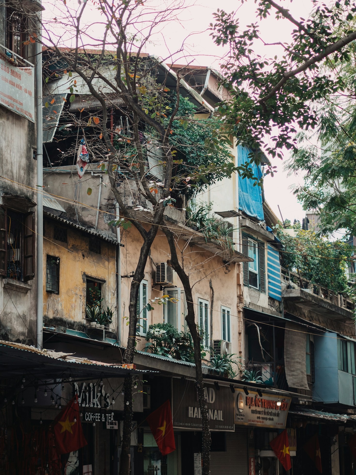Hvor finder du byens bedste streetfood?